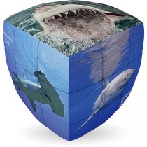 V-Cube SHARKS - 2 x 2 Pillow Cube